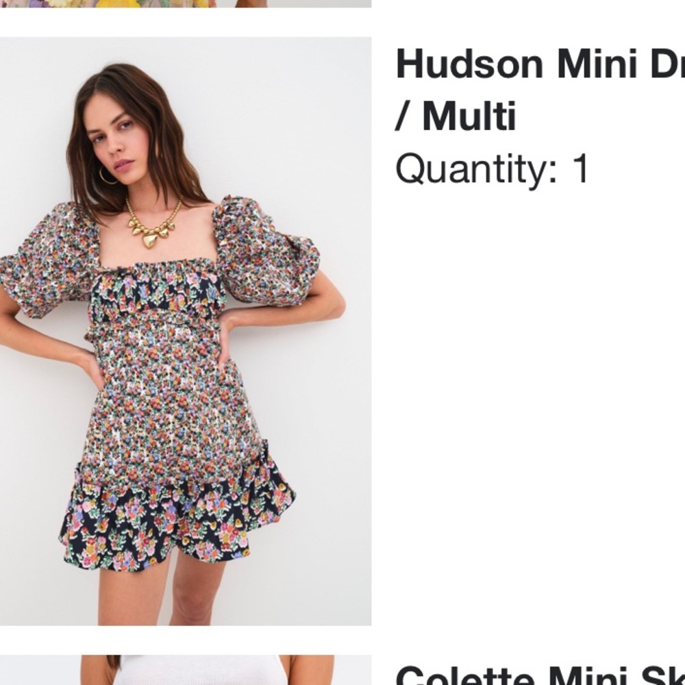 Hudson mini dress